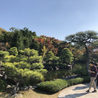 |5548| | Zahrady Himedži Koko-en