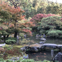 |5206| | Chrám Kjóto Ginkakudži - Stříbrný pavilon