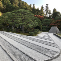 |5211| | Chrám Kjóto Ginkakudži - Stříbrný pavilon