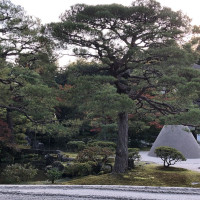 |5216| | Chrám Kjóto Ginkakudži - Stříbrný pavilon