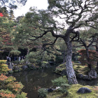 |5221| | Chrám Kjóto Ginkakudži - Stříbrný pavilon