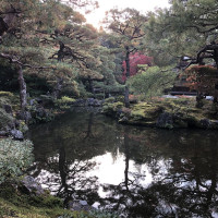 |5224| | Chrám Kjóto Ginkakudži - Stříbrný pavilon