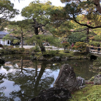 |5230| | Chrám Kjóto Ginkakudži - Stříbrný pavilon