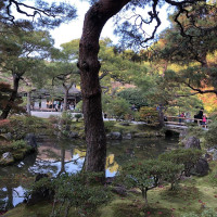 |5232| | Chrám Kjóto Ginkakudži - Stříbrný pavilon