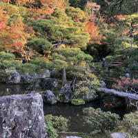 |5238| | Chrám Kjóto Ginkakudži - Stříbrný pavilon