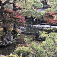 |5241| | Chrám Kjóto Ginkakudži - Stříbrný pavilon