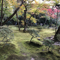 |5246| | Chrám Kjóto Ginkakudži - Stříbrný pavilon