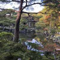 |5247| | Chrám Kjóto Ginkakudži - Stříbrný pavilon