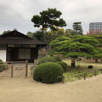 |6981| | Zahrada Hiroshima Shukkeien