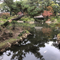 |6984| | Zahrada Hiroshima Shukkeien