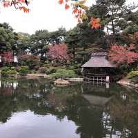 |6985| | Zahrada Hiroshima Shukkeien