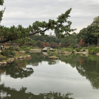 |6986| | Zahrada Hiroshima Shukkeien