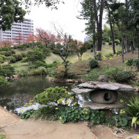 |6987| | Zahrada Hiroshima Shukkeien
