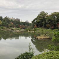 |6988| | Zahrada Hiroshima Shukkeien