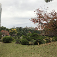 |6990| | Zahrada Hiroshima Shukkeien