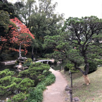 |6991| | Zahrada Hiroshima Shukkeien