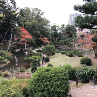 |6993| | Zahrada Hiroshima Shukkeien