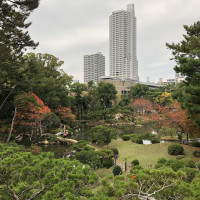 |6994| | Zahrada Hiroshima Shukkeien