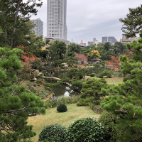|6995| | Zahrada Hiroshima Shukkeien