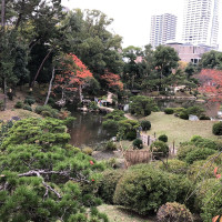 |6998| | Zahrada Hiroshima Shukkeien