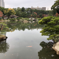|7001| | Zahrada Hiroshima Shukkeien