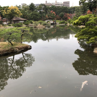 |7002| | Zahrada Hiroshima Shukkeien