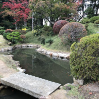|7005| | Zahrada Hiroshima Shukkeien