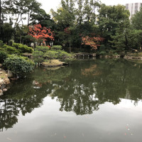 |7007| | Zahrada Hiroshima Shukkeien
