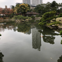 |7008| | Zahrada Hiroshima Shukkeien