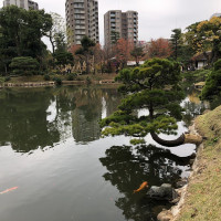 |7009| | Zahrada Hiroshima Shukkeien