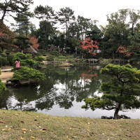 |7010| | Zahrada Hiroshima Shukkeien
