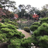 |7011| | Zahrada Hiroshima Shukkeien