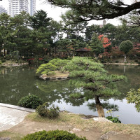 |7014| | Zahrada Hiroshima Shukkeien