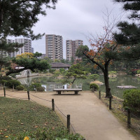 |7019| | Zahrada Hiroshima Shukkeien