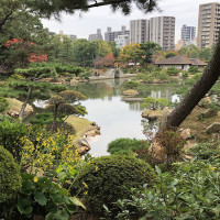 |7021| | Zahrada Hiroshima Shukkeien