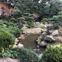 |7022| | Zahrada Hiroshima Shukkeien