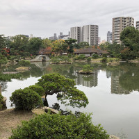 |7024| | Zahrada Hiroshima Shukkeien
