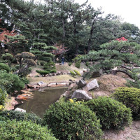 |7025| | Zahrada Hiroshima Shukkeien