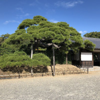 |5636| | Zahrada Takamacu Ritsurin