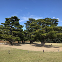 |5642| | Zahrada Takamacu Ritsurin