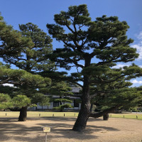 |5643| | Zahrada Takamacu Ritsurin