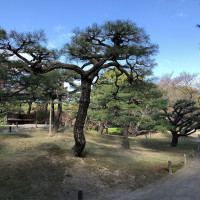 |5644| | Zahrada Takamacu Ritsurin