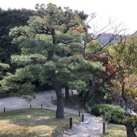 |5649| | Zahrada Takamacu Ritsurin