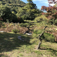 |5650| | Zahrada Takamacu Ritsurin