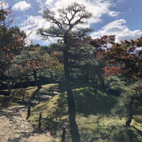 |5652| | Zahrada Takamacu Ritsurin