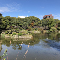 |5653| | Zahrada Takamacu Ritsurin