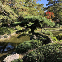 |5655| | Zahrada Takamacu Ritsurin