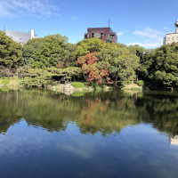 |5656| | Zahrada Takamacu Ritsurin