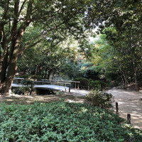 |5658| | Zahrada Takamacu Ritsurin
