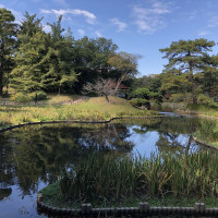 |5661| | Zahrada Takamacu Ritsurin